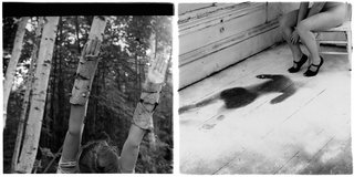 Photos by Francesca Woodman.