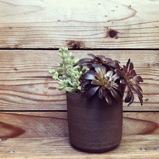 PUTIKMADE Pottery - Photo 2 of 4 - Not just for succulents. The Bamboo series of planters have a drainage hole, so feel free to fill them with thirstier flora.