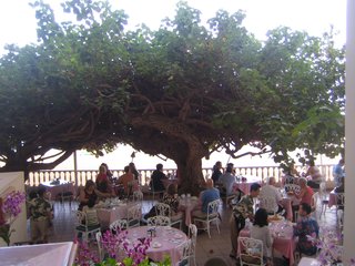 Hau Tree Lanai in Honolulu - Photo 4 of 5 -