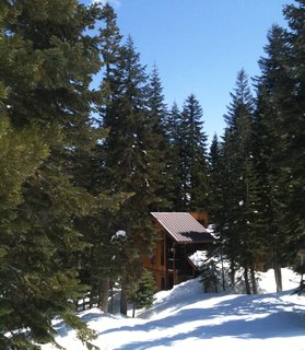Although not too far off the road, this home looks tucked away in its pine grove. The corrugated steel roof and vertically oriented windows keep this design from looking too much like a quintessential cabin.