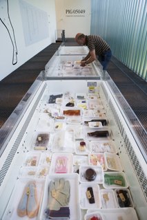 Christien Meindertsma: Act Local - Photo 5 of 5 - In PIG, Meindertsma researched different products that could be made from a single pig.
