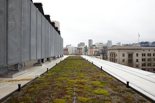 Commons' Grounds - Photo 6 of 9 - A living roof is among the project's many green features.