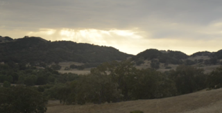 Preview "The Modern Family" Video - Photo 1 of 4 - The Yees live in a nature preserve in Carmel, California, in a home designed by Lake Flato Architects. Here's a glimpse at their idyllic surroundings.