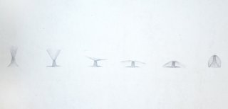 'Moving Meshes' at Domaine de Boisbuchet - Photo 4 of 8 - Here's a detail of the diagram.