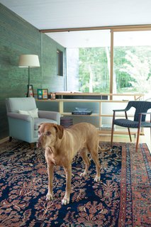 Gable-Roofed Rural Weekend Home in Connecticut - Photo 3 of 9 - Otto is a handsome complement to the Persian Sarouk rug and Gray’s sophisticated interior design work.