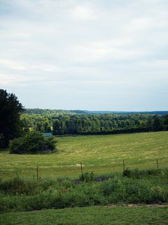 The view from the bathroom.