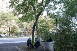 The Space Beside the Skate Park - Photo 1 of 4 - The Urban Web is located near Monroe Street and Pike Street, under the Manhattan Bridge.