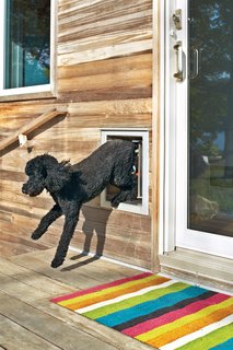 25 Dogs Living in the Modern World - Photo 5 of 25 - Emergency Exit: A poodle-size dog door is a must for Max, who, as his owner reports, loves the lake house. Blake has also been known to eschew the sliding glass doors in favor of the smaller exit point.