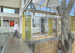 Who Knew a Relaxing Tropical Retreat Could Be Made of Shipping Containers? - Photo 4 of 10 - The stacked containers and inner courtyard, which wrap around a cedar tree, allow for plenty of natural sunlight, which helps illuminate the client's work on display in the main gallery space.