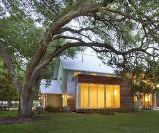 Everything You Need to Know When Designing and Building in Austin, Texas - Photo 1 of 4 - Oak trees are a precious but delicate feature of southern landscapes. Their shallow roots extend far from their bases and are vulnerable to light foot traffic—and certainly to building foundations. The team at +one design & construction used a "coil pile" foundation system—essentially made of corkscrew-like supports—that allows this guest room to harmlessly float over the roots of an 80-year-old tree.