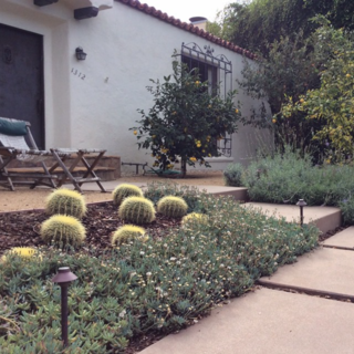 Photo of the Week: Drought-Tolerant Garden - Photo 1 of 4 - @stevesiegrist: Drought tolerant garden in Santa Monica that we completed about 18 months ago. Growing in nicely.