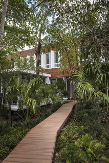 A wooden boardwalk twists through the verdant site.