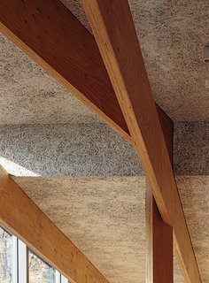 Japanese Home Among the Trees Uses Bookshelves and Glass for Walls - Photo 5 of 8 - Wood-fiber cement panels by Koa Funen line the interior, and the criss-crossing laminated veneer lumber beams are from Key-Tec.