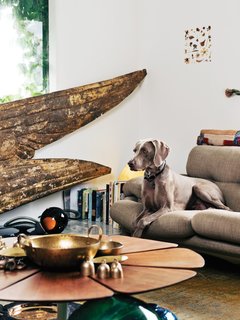 45 Pets in Beautiful Modern Homes - Photo 13 of 45 - In the living room, angel wings taken from a circa-1890s Parisian statue were discovered at Scott Landon Antiques in Vancouver. The vintage Petal coffee table, by Richard Schultz for Knoll, is topped with various brass and copper bowls found at secondhand stores, displayed alongside Form bowls by Tom Dixon.