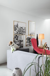 Ibbel, a Parson Russell terrier, and his tennis ball survey the living room from the back of a Cuba sofa by Rodolfo Dordoni for Cappellini. The framed drawings are by Poorter and Holdrinet.