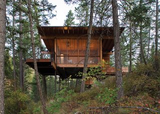 Modern in Montana: a Flathead Lake cabin that's a grownup version of a treehouse.