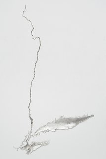 Q&A with Architectural Designer and Artist Maya Lin - Photo 5 of 8 - The 2011 work Silver Hudson renders the waterway in recycled silver.