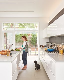 An Impressive 20-Foot Skylight Transforms a Jumbled Chicago Home - Photo 10 of 13 -