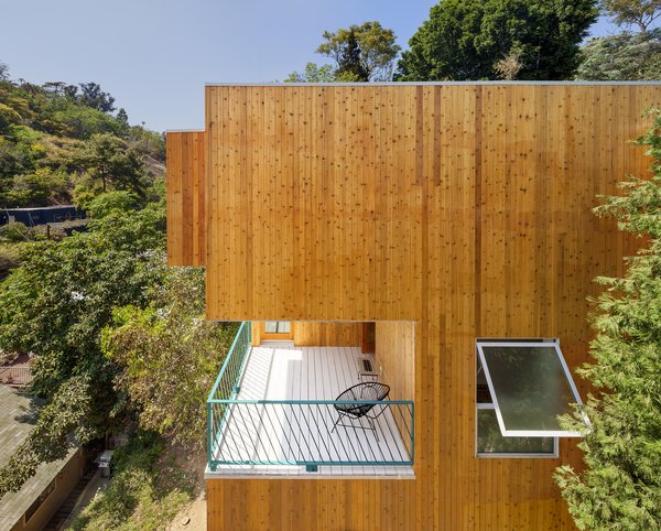 Despite the house’s spatial limitations, Storey still managed to create small pockets of sheltered outdoor space — essential for life in Los Angeles.