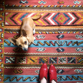 Photo of the Week: Beautifully Textured Moroccan Rug and a Puppy - Photo 1 of 1 -