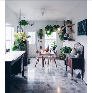 Photo of the Week: Plant-Filled Austin Dining Room - Photo 1 of 1 -