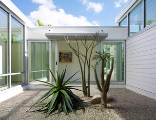 This Sparkling New Home Is a Perfect Remake of Classic Sarasota School Modernism - Photo 9 of 13 -