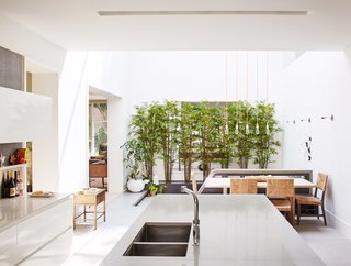 An Impressive 20-Foot Skylight Transforms a Jumbled Chicago Home - Photo 8 of 13 -