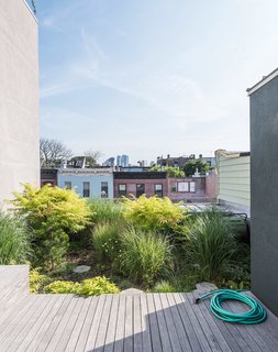 A Rooftop Garden Completes This Urban Pastoral Home - Photo 9 of 11 - Up top, a verdant green roof of native grasses, wildflowers and fruits creates an oasis.