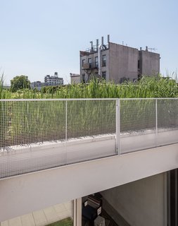 A Rooftop Garden Completes This Urban Pastoral Home - Photo 2 of 11 - Vegetation from the garden on the lower roof provides a contrast to the backdrop of Gowanus’s rapidly changing landscape.