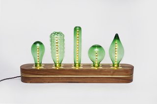 Product Spotlight: São Paulo Collection - Photo 1 of 3 - Available in both emerald and clear glass, the recycled bottle shelf lighting is stabilized by 10cm of hardwood.