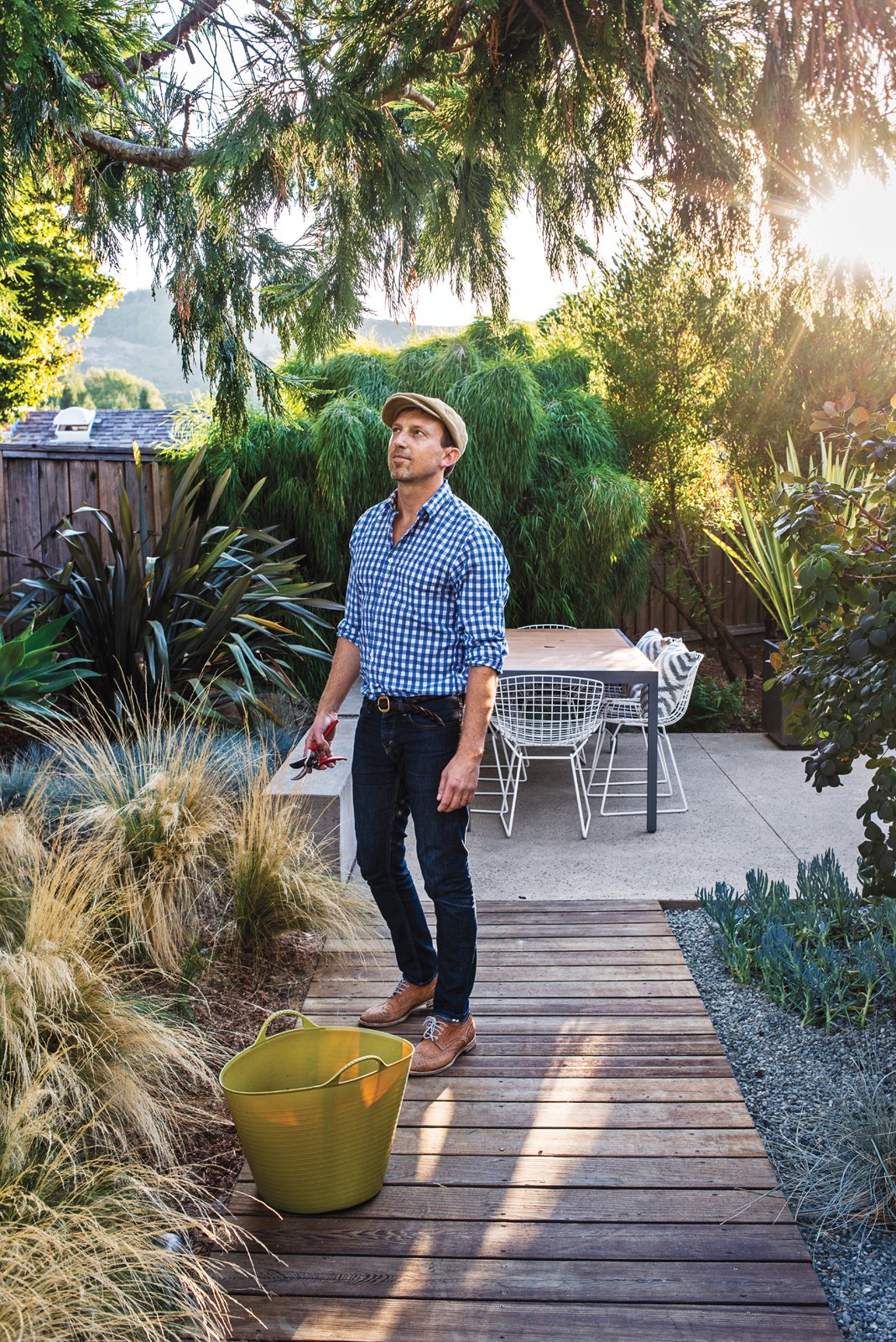 “I love the look of mass plantings,” notes Neely, near Mexican feather grasses--which thrive on the sunny lot.