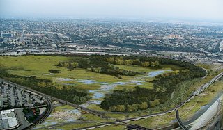 Can Neglected Urban Waterways Like the Los Angeles River Become Thriving Greenways? - Photo 5 of 5 -