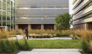 Andrea Cochran's Bold Landscape Designs Are Natural Wonders - Photo 4 of 4 -