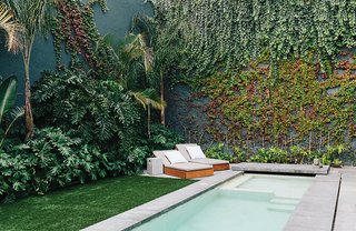A Lush Retreat With a Sheltered Rooftop Pool in Mexico City - Photo 6 of 14 - The rooftop courtyard is lined with a verdant mix of indigenous plants, including banana trees, palm trees, lion’s claw, Mexican breadfruit, and native vines. The chaise longues were designed for Farca’s EF Collection.