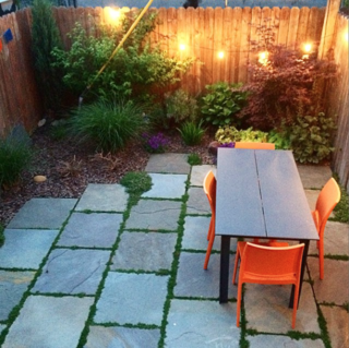 Photo of the Week: Cozy Brooklyn Backyard - Photo 1 of 1 -