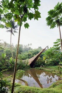 The Green School in Badung, Bali, Indonesia, by Effan Adhiwira, employs micro-hydro power, solar power, bio-diesel, and natural air conditioning; it was also constructed with 99% natural materials. Photo by Iwan Baan