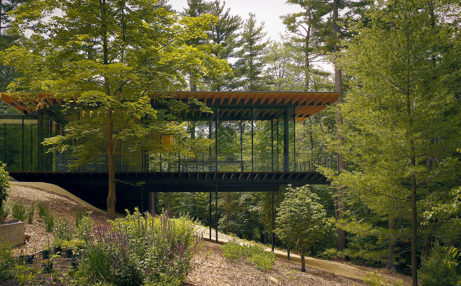 D Glass House Video D Glass House Video