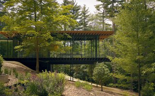 Kengo Kuma updated the mid-century Glass Wood House in New Canaan, Connecticut, while maintaining the home’s integration with its natural surroundings. Photo by Kengo Kuma & Associates for Glass Wood House