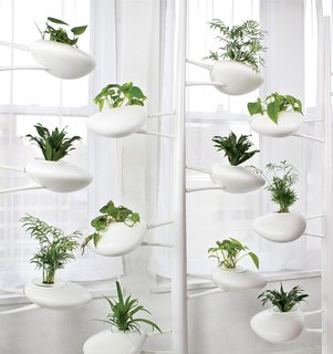 6 Noteworthy Designs from Salone Satellite 2013 - Photo 4 of 4 - Danielle Trofe DesignThe Live Screen is an indoor planter system that uses self-sustaining, hydroponic technology.