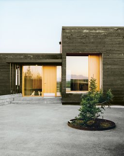 Parson Russell terriers Pepper and Trixie get a glimpse of the large courtyard through a glassy expanse by Marvin Windows and Doors.