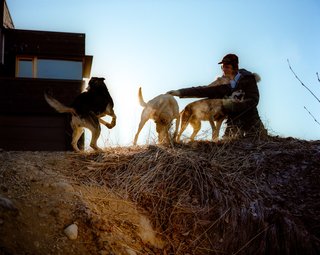 Dogs about at the house and Buser, a four-time winner of the Iditarod dogsled race, routinely takes 80-mile rides with his hounds.