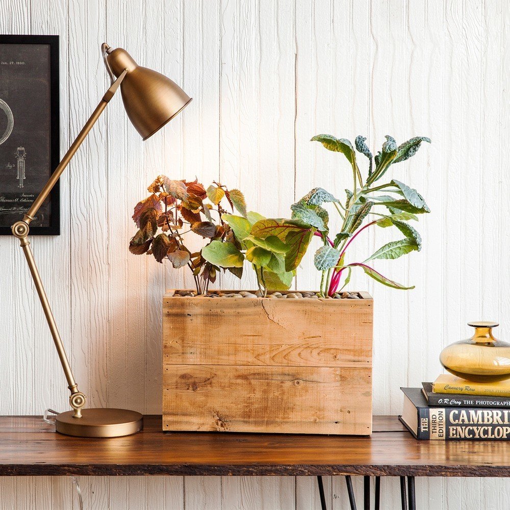 How to Use Modern Home Decor in Unexpected Ways - Photo 5 of 9 - Modern Sprout’s planters were designed by Nick Behr and Sarah Burrows, two Chicago apartment dwellers who wanted to grow their own garden, but didn’t have the space. Struggling to maintain plants in their apartment, they tried hydroponic planters, which yielded results, but were expensive and unappealing to look at. As a result, they designed their own planter—a hydroponic, self-watering system that hides its mechanism beneath a reclaimed wood planter box.