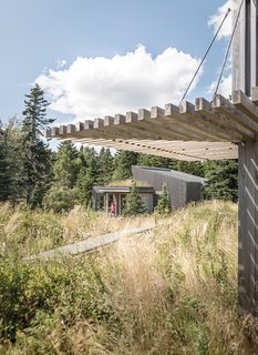 An Artist Builds a Wooden Home That Lets Nature Be the Boss - Photo 5 of 7 - A verdant tundra that the architect dubbed the "courtyard" separates Bullitt’s house from his 900-square-foot studio. The space, which is planted with Bog Myrtle, bearberry, and other native plants, "reinforces...the dominance of the landscape over the building," the architect says. "The end result was an exceedingly naturalized setting."