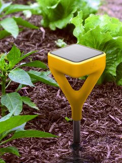 A Smart Tech Tool That Will Help Novice Gardeners Kill Fewer Plants - Photo 1 of 3 -