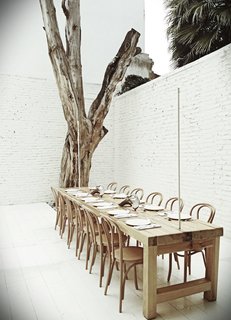 10,000 Bones Cover the Walls of this Mexico Restaurant - Photo 8 of 9 - One of the private dining rooms at Hueso includes a dead tree that Cadena says sat in front of the building for six years. Initially, he was going to design a suite of custom chairs for the restaurant, each one with individual features, but he settled on classic Thonet chairs instead.