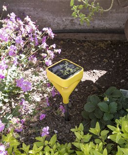A Homeowner Uses Smart Technology to Manage His Napa Property from Anywhere - Photo 6 of 14 -