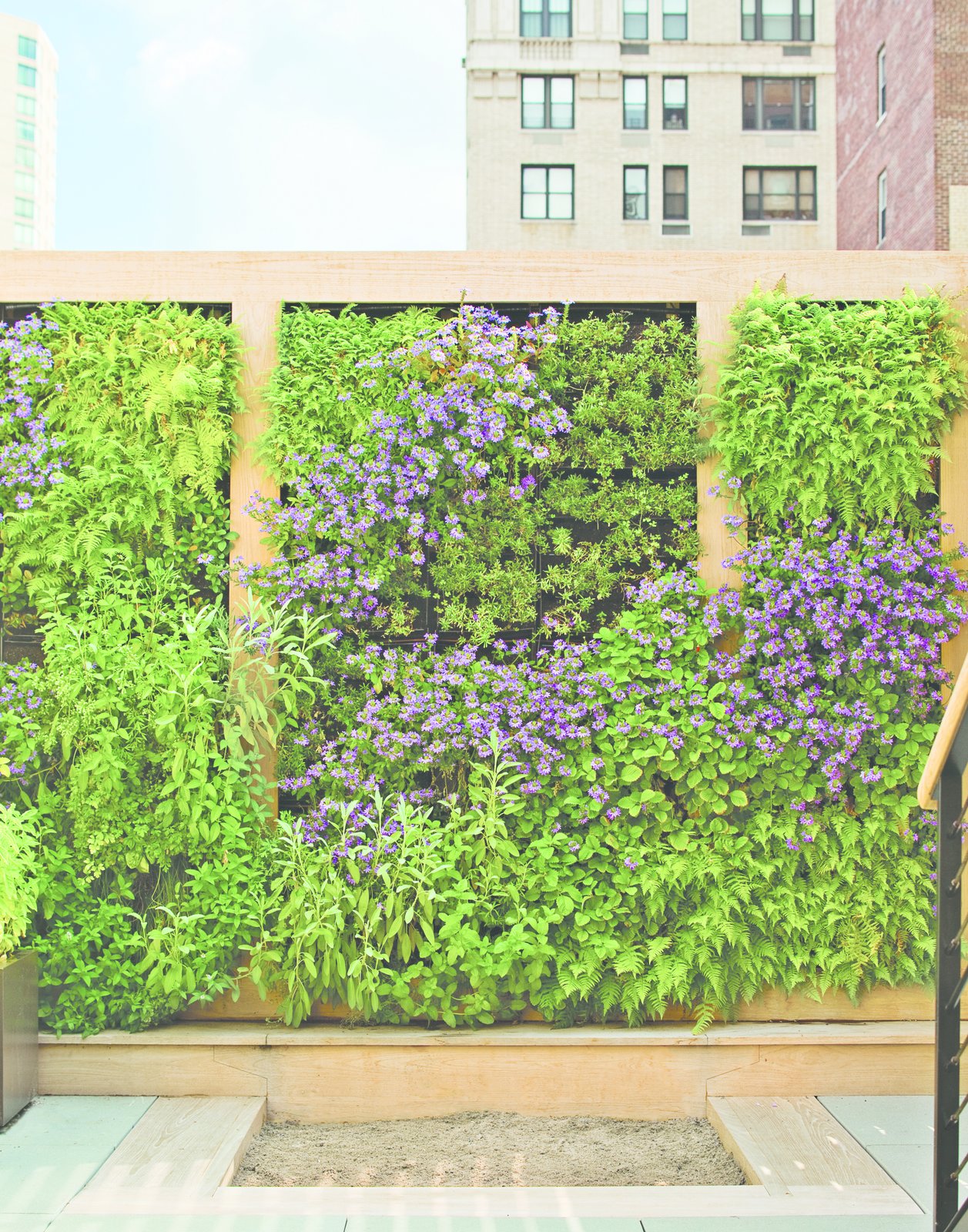 The perennial plants on the green wall were plotted out as a piece of verdant abstract art. Edibles, like strawberry, thyme, and rosemary, are planted within children’s reach.