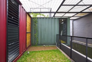 How to Stay Cool by Living in a Shipping Container - Photo 4 of 10 - The top of the residence is wrapped in simple wire mesh to encourage plant propagation.