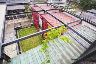 How to Stay Cool by Living in a Shipping Container - Photo 10 of 10 - Covered with wire mesh, the green roof will continue to vegetate over time.