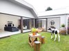Keeping the original home intact, the team added to the existing structure to create a U-shaped layout that surrounds an open courtyard. The deteriorating old roof was replaced with a custom galvanized steel Orb roof by Lysaght, and the entire rear façade was wrapped with clean white BGC Durascape cement sheeting. A life-size plastic cow, found at the home when the couple bought it, became a permanent fixture in the yard. Photo of 1850s Prefab Cottage from Boston Finds New Life in Australia modern home